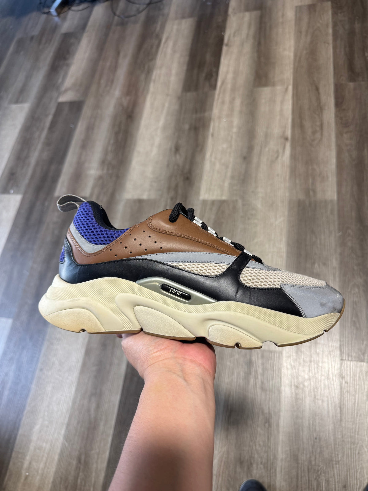 Dior B22 (Brown)